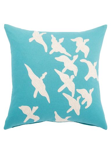 Picture of NATIONAL GEOGRAPHIC HOME COLLECTION PILLOWS