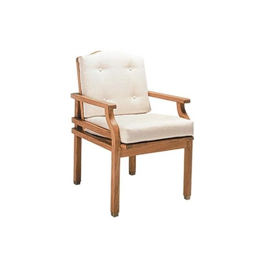 Picture of PARADISO DINING LOUNGE CHAIR (WITH CUSHIONS)