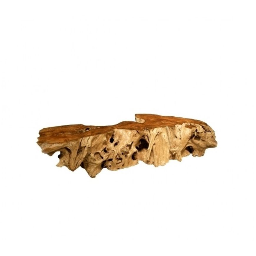 Picture of ROOT TABLE 1