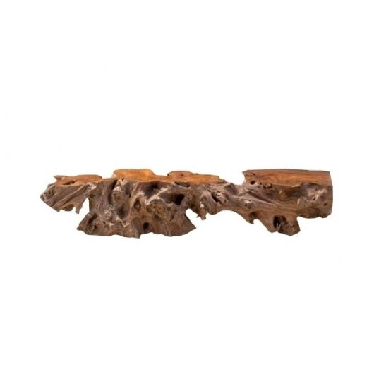 Picture of ROOT 4