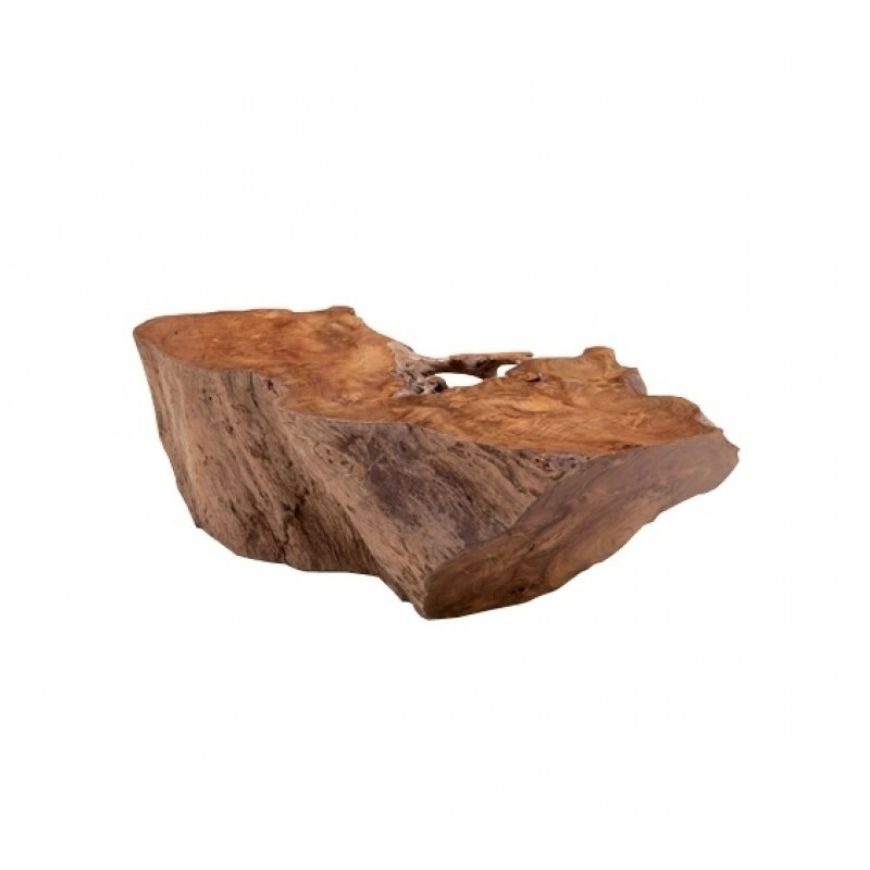 Picture of ROOT 3