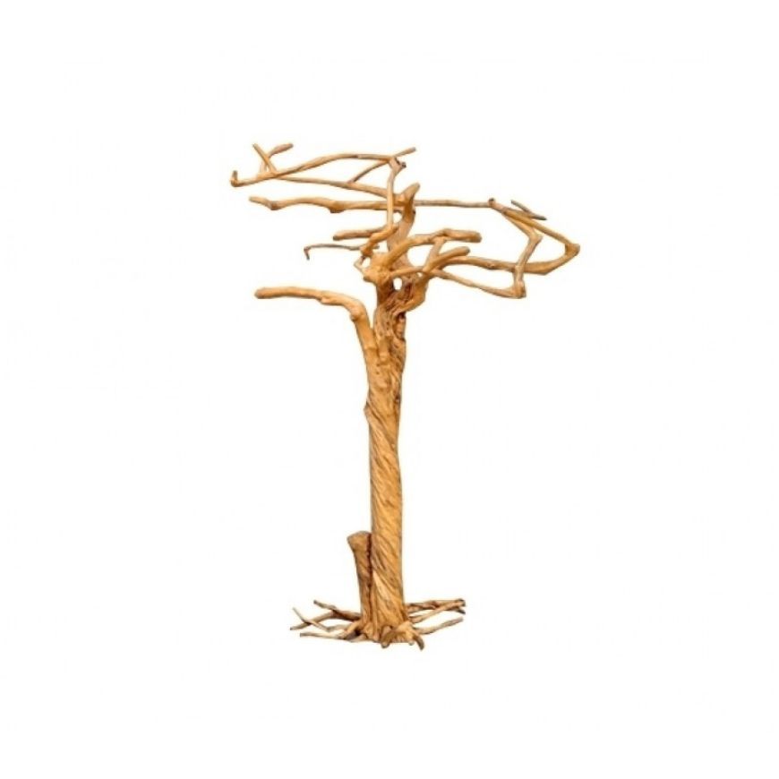 Picture of TREE
