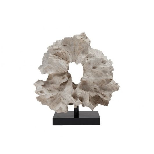 Picture of WHITE ROOT