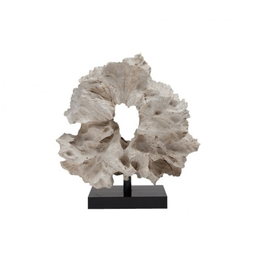 Picture of WHITE ROOT