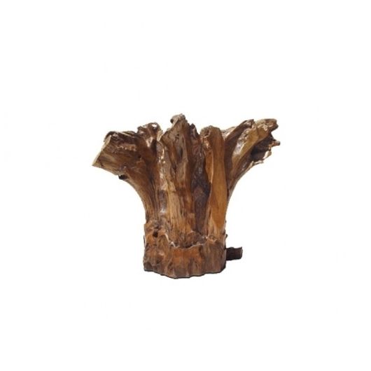 Picture of ROOT