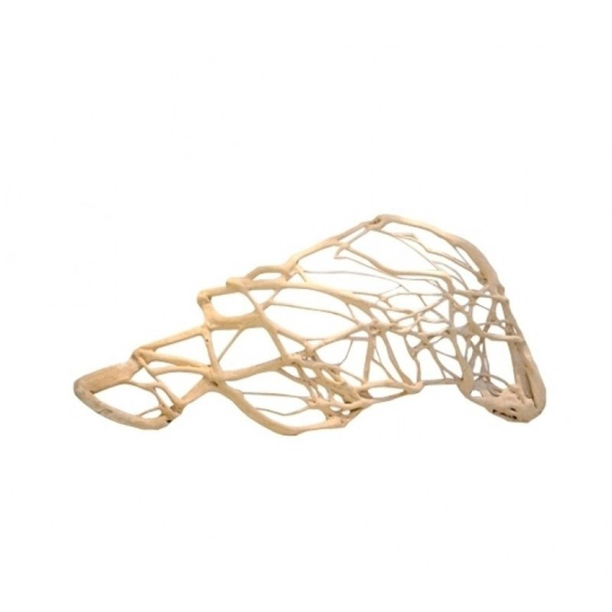 Picture of ORGANIC NET ROOT
