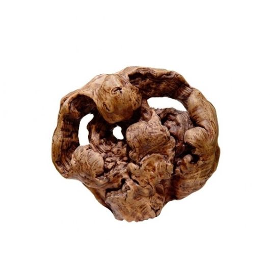 Picture of CHINESE ROOT