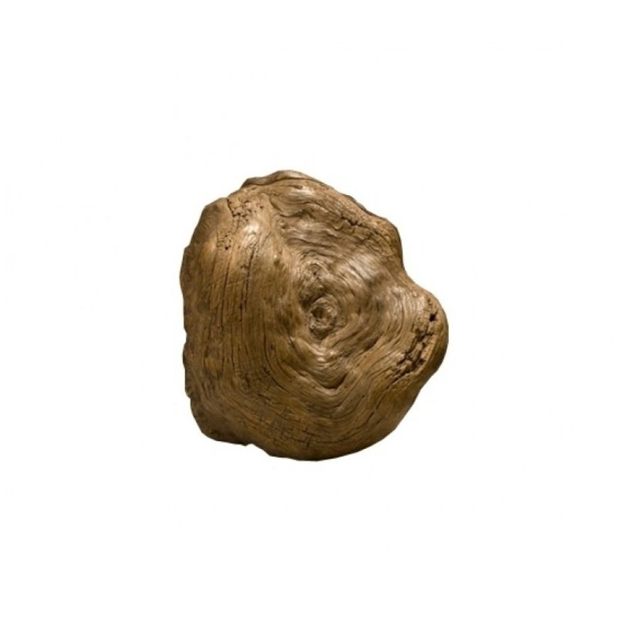Picture of ROOT