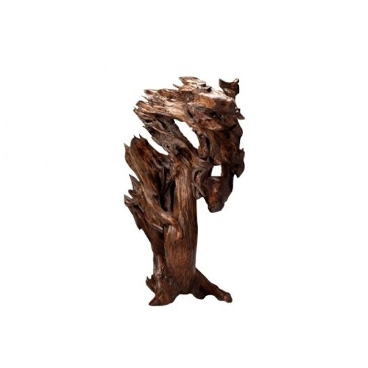 Picture of OLD CONTEMPLATION ROOT