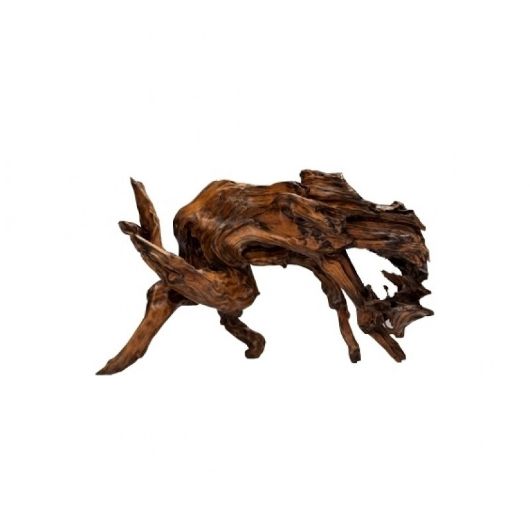 Picture of OLD CHINESE ROOT (HORSE)