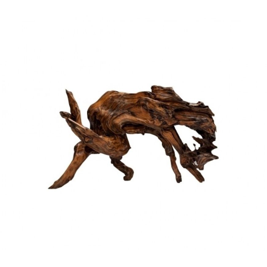Picture of OLD CHINESE ROOT (HORSE)