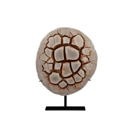 Picture of 4-5 SIDED FOSSILIZED MUDCRACK