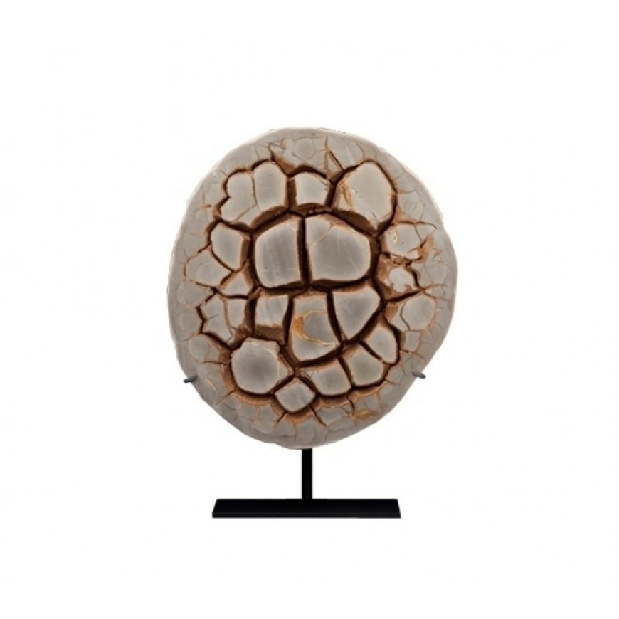 Picture of 4-5 SIDED FOSSILIZED MUDCRACK