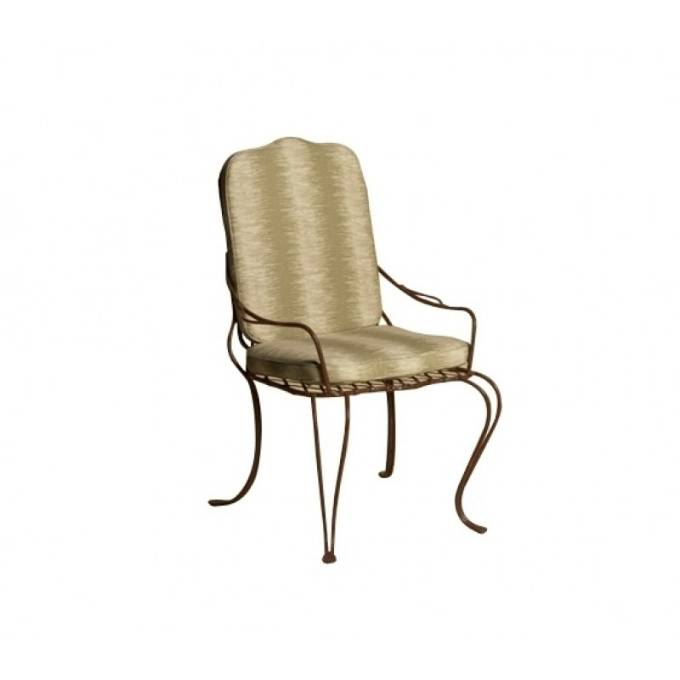 Picture of Twig Iron Dining Arm Chair