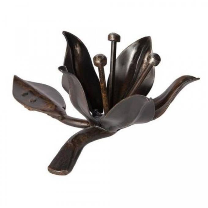 Picture of FLOR DE PASION BLOOM