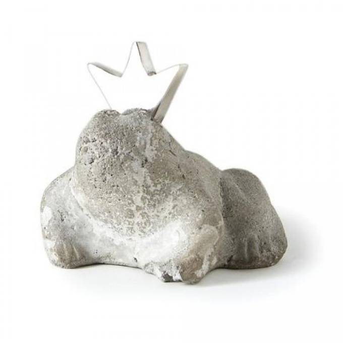 Picture of CROWN PRINCE FROG
