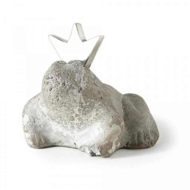 Picture of CROWN PRINCE FROG