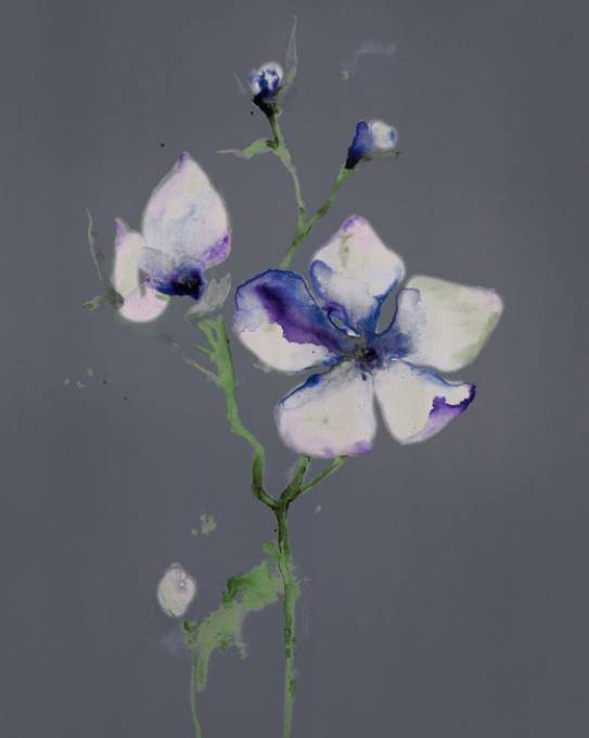 Picture of NIGHTLY BLOOM I