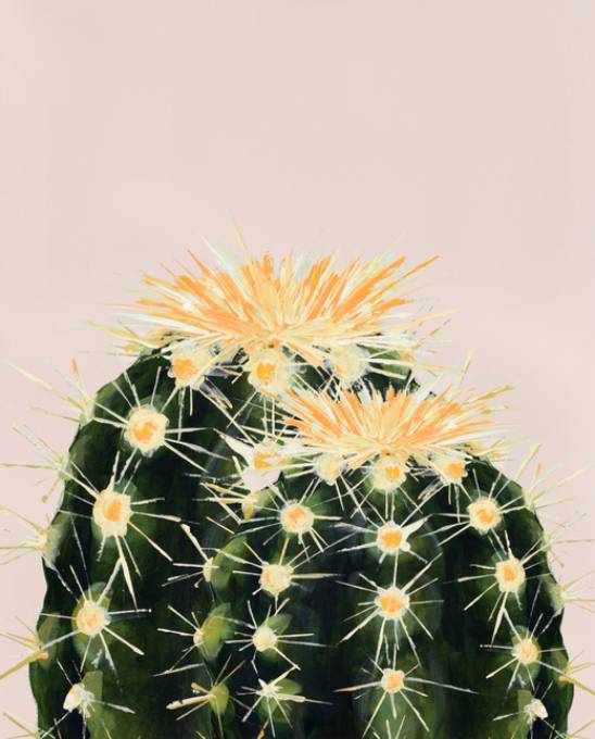 Picture of BUT IM A PRETTY PRICK VIII