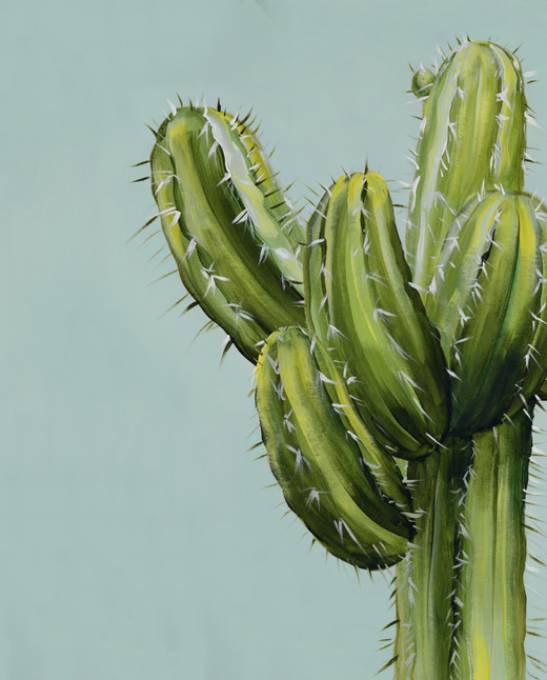Picture of BUT IM A PRETTY PRICK VII