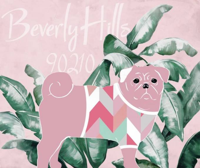 Picture of BH PUPS I