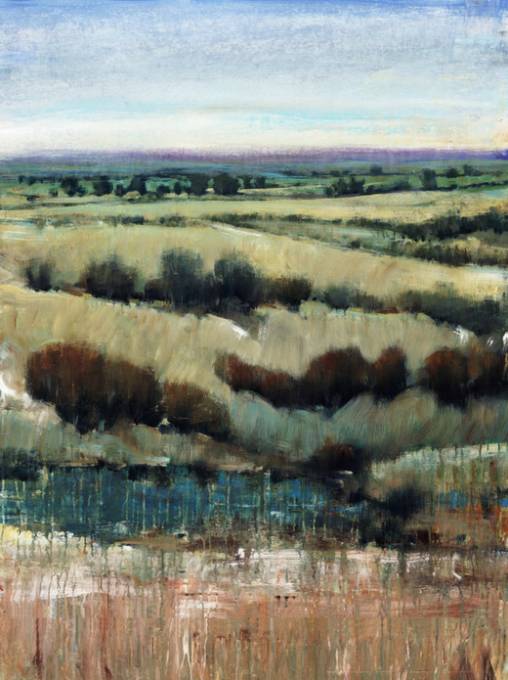 Picture of ORCHARD MEADOWS I