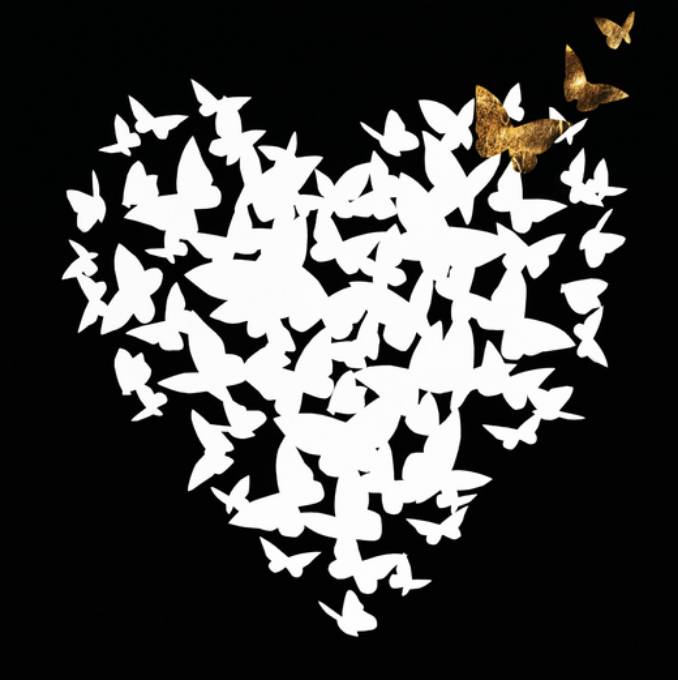 Picture of FLUTTERING BEAT I