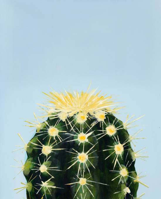 Picture of BUT IM A PRETTY PRICK IV