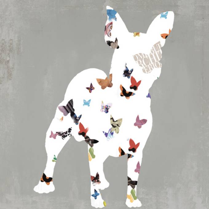 Picture of FLY PUP II