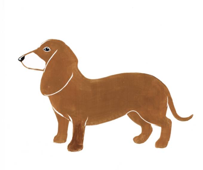 Picture of KENNEL CLUB WINNERS II