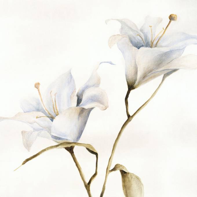 Picture of VERDANT BLOOM I