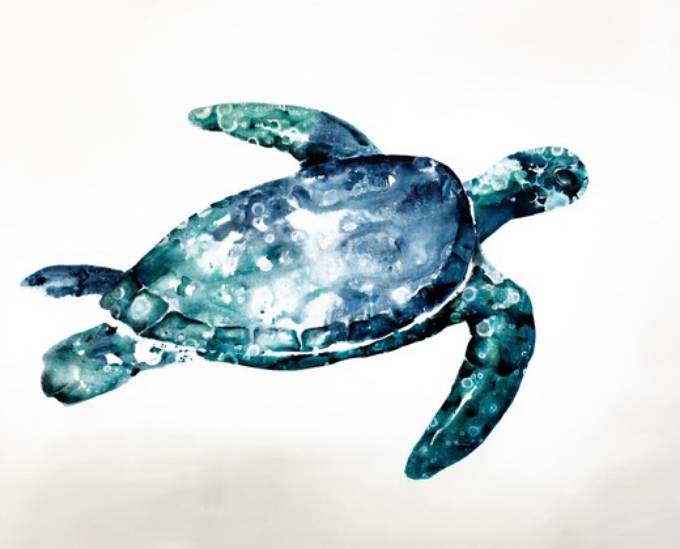 Picture of AQUA SWIMMER