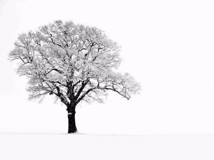 Picture of ALMOST APRIL