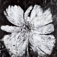 Picture of AFTERHOURS BLOSSOM