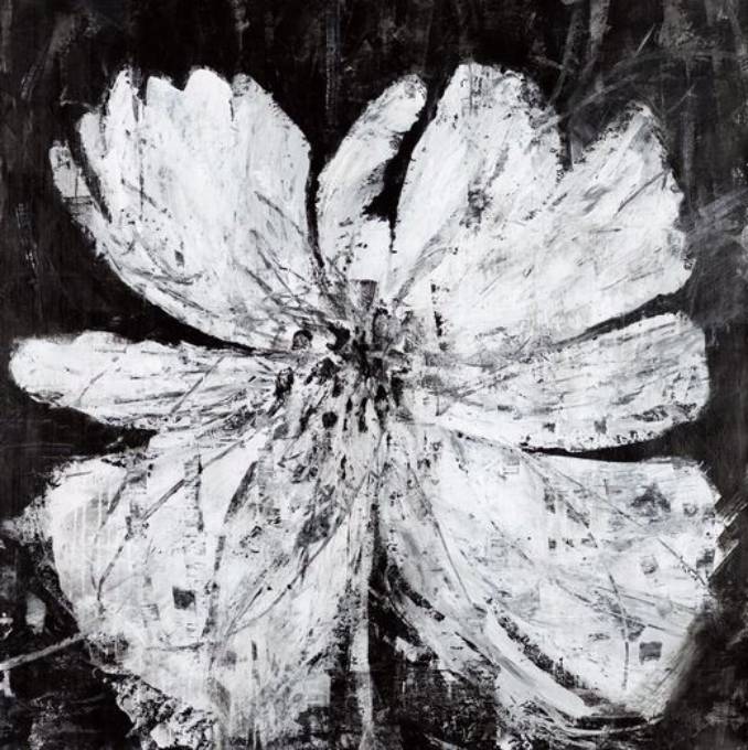 Picture of AFTERHOURS BLOSSOM