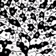 Picture of THE EYES HAVE IT