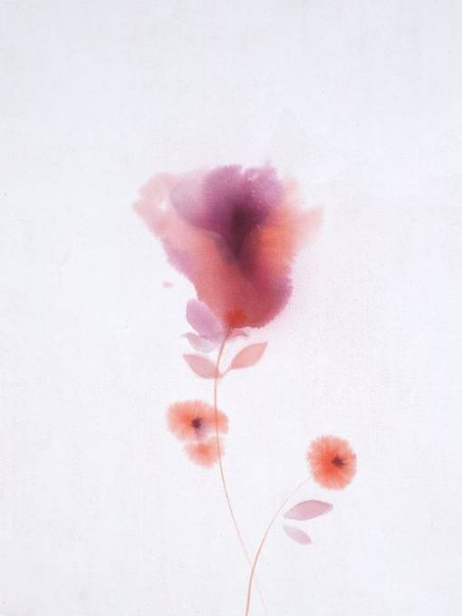 Picture of BLURRED PERENNIAL V