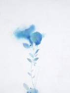Picture of BLURRED PERENNIAL III