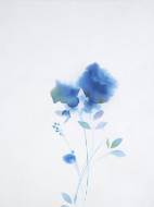 Picture of BLURRED PERENNIAL II