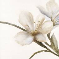 Picture of VERDANT BLOOM III