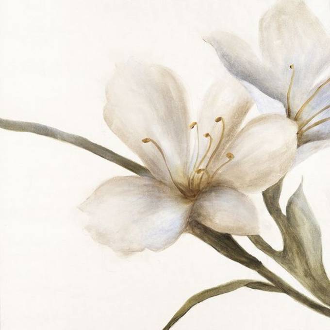 Picture of VERDANT BLOOM III