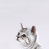 Picture of CHASING MY TAIL I