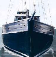 Picture of LIFE OF A CAPTAIN X