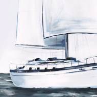 Picture of LIFE OF A CAPTAIN VIII