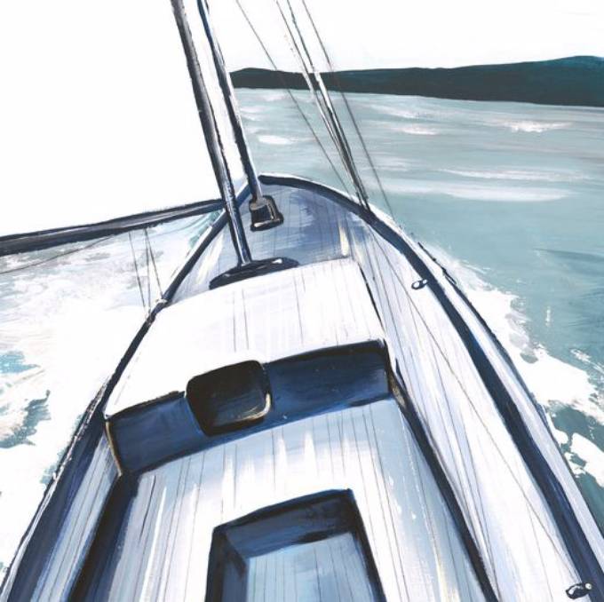 Picture of LIFE OF A CAPTAIN VII