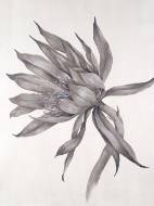 Picture of GARDEN PICKS V