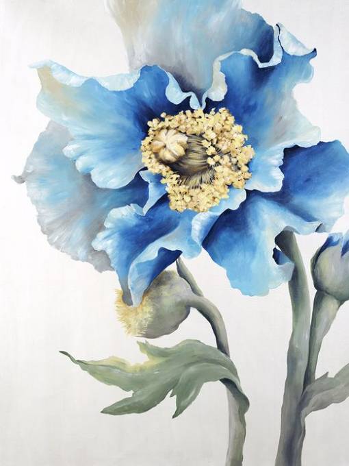 Picture of BIG BLOOMER II