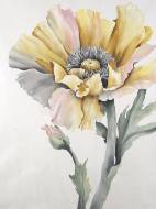 Picture of BIG BLOOMER I
