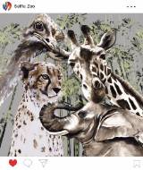 Picture of SELFIE ZOO II