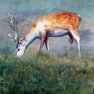 Picture of EARLY MORNING GRAZING